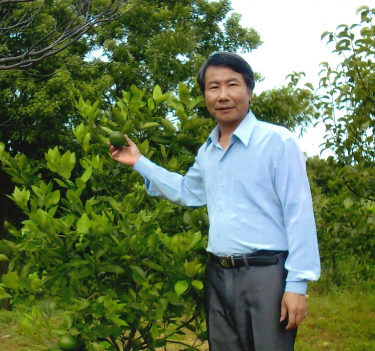 蘇子清
